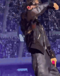 Jin Fake Love GIF