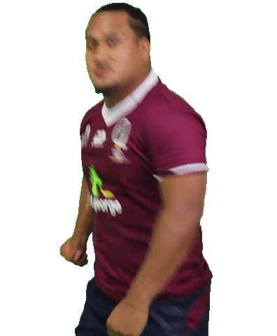 redsrugby rugby reds maori bpa Sticker