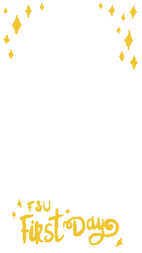 Gold Story Sticker by Florida State University