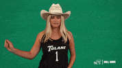 Beach Volleyball GIF by GreenWave