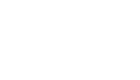 Bug Beetle Sticker by Limebug VW