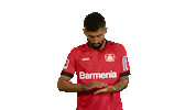 Looking Bayer Leverkusen Sticker by Bundesliga