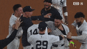 Celebrate New York Yankees GIF by MLB