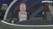 Season 2 Episode 6 GIF by Rick and Morty