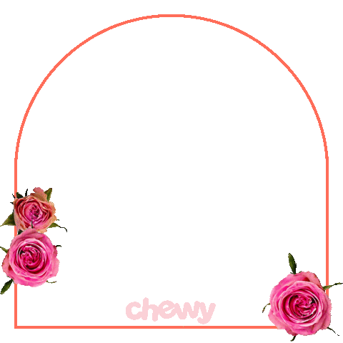 Springtime Catsun Sticker by Chewy