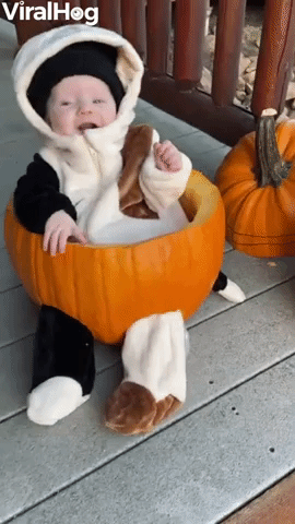 Baby Laughs in Pumpkin Chair