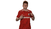 Proud Sc Freiburg Sticker by Bundesliga