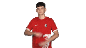 Sc Freiburg Arms Sticker by Bundesliga