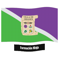 Flag Spain Sticker by Formación Ninja
