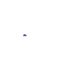 Flying On Board Sticker by Scandinavian Airlines Systems