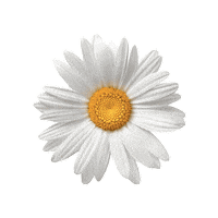 juntosxlatierraoficial flower flor jxlt juntosxlatierra Sticker