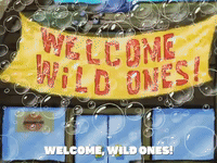 season 4 GIF by SpongeBob SquarePants