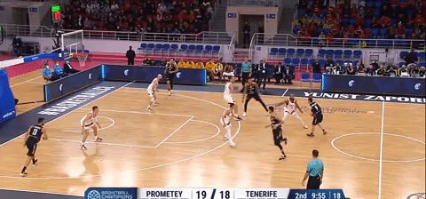 sportsrabbi giphyupload GIF