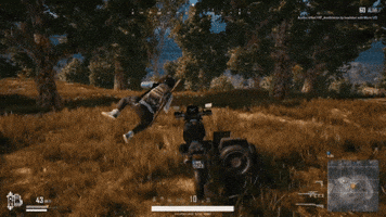 pubg GIF