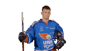 Hockey Van Sticker by UNIS Flyers