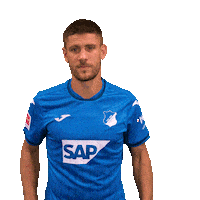 Andrej Kramaric Sport Sticker by TSG Hoffenheim