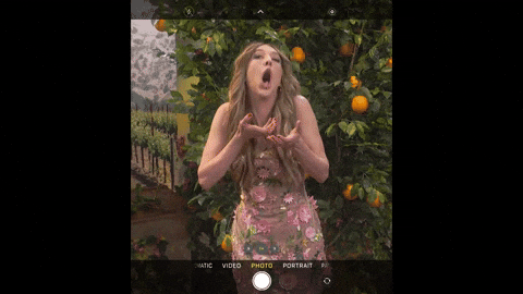 Snl GIF by Saturday Night Live