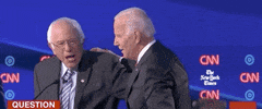 Demdebate GIF by GIPHY News