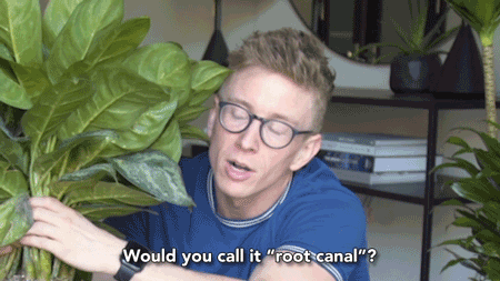 tyleroakley giphyupload flower youtube house GIF