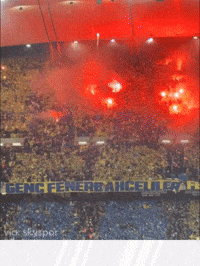 Tribun GIF by Socinflu