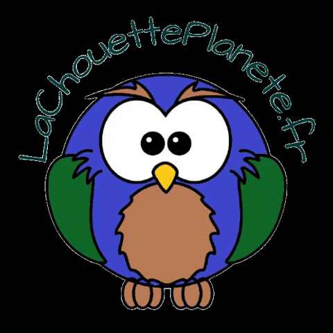 lachouetteplanete giphygifmaker bio ecologie made in france GIF