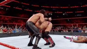 wrestling GIF by WWE