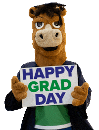 Horse Graduation Sticker by Middlesex College