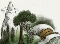 Frog And Toad GIF