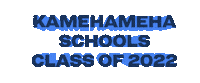Alumni Ks Sticker by Kamehameha Schools