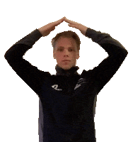 Larry Porsche Sticker by tolimit