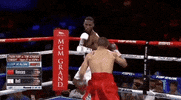 toprank fight boxing fighting espn GIF
