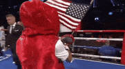 toprank fight boxing fighting espn GIF
