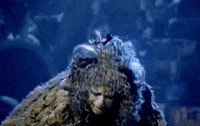 elaine paige cats GIF by Alex Bedder