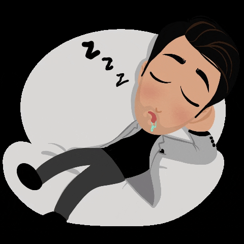 NasserTone giphygifmaker sleep sleeping lazy GIF