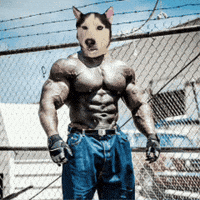 Work Out Dog GIF by SWAGGY WOLFDOG