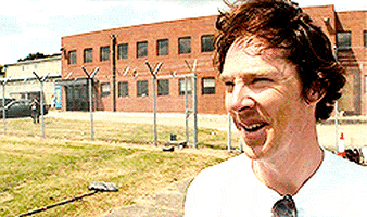 benedict cumberbatch GIF