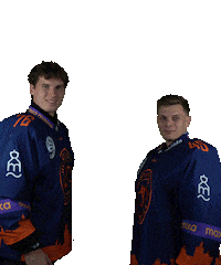 Sport Hokej Sticker by HCSTADION