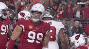 Arizona Cardinals Football GIF by NFL