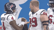 Houston Texans Football GIF by NFL