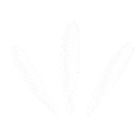 Sparkle Branco Sticker