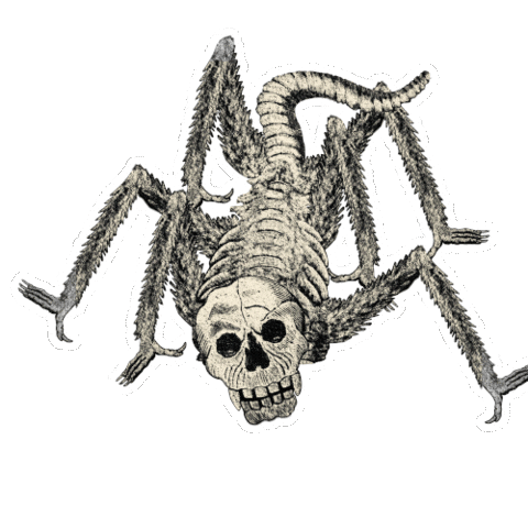Cosarara Sticker