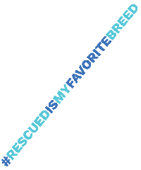 Nhs Rescue Pets Sticker by Nevada Humane Society