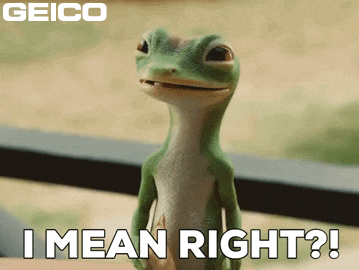 Seems About Right GIF by GEICO