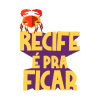 Turismo Sticker by Visit Recife