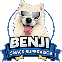 Snack Cute Dog Sticker