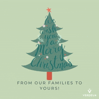 Verdeux merry christmas holidays verdeux GIF