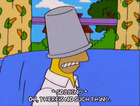 homer simpson GIF