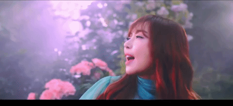 giphydvr kpop k-pop k pop ses GIF