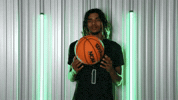 Basketball GIF by RiverHawk Sports