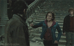 harry and hermione GIF